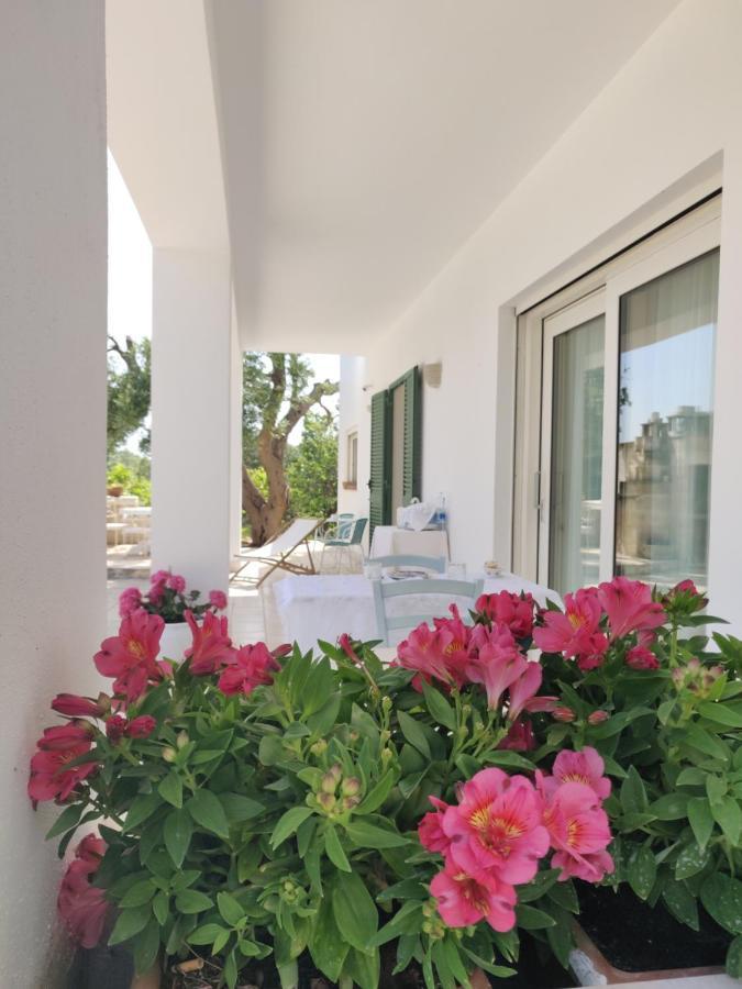 오스투니 Mareulivi B&B 외부 사진